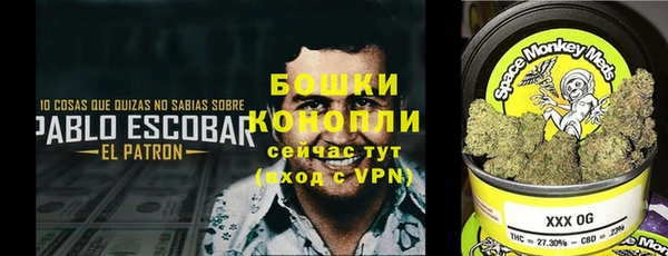 spice Алзамай
